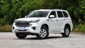Оклейка Haval H9